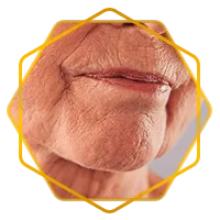 bn3.png bn3.png